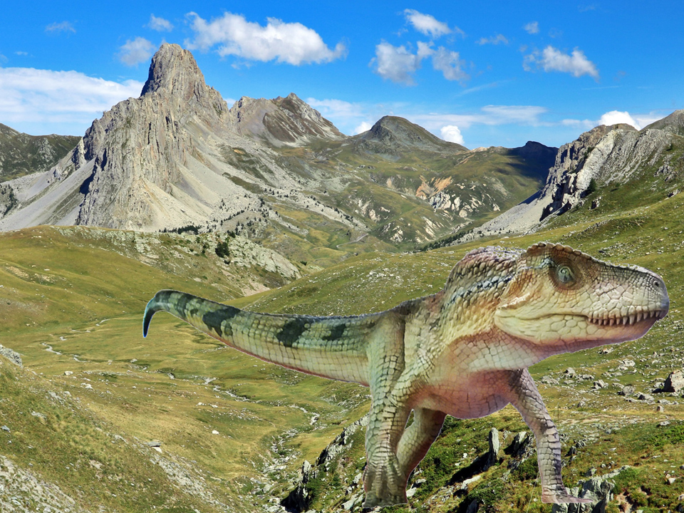 Ticinosuchus Gardetta